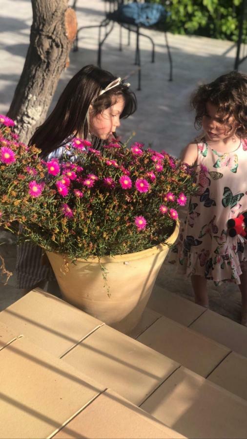 Trigona Garden Suite Νότο Εξωτερικό φωτογραφία