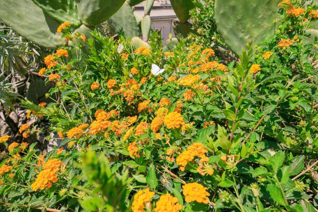 Trigona Garden Suite Νότο Εξωτερικό φωτογραφία